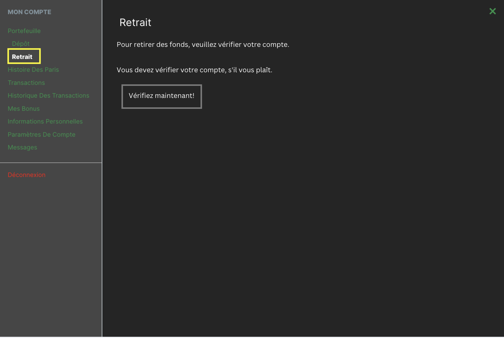 Screenshot 2025-01-06 at 4.11.41 PM.png